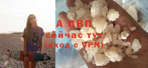 стафф Козельск