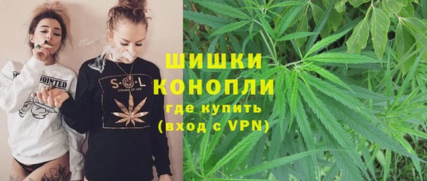 гидра Чегем