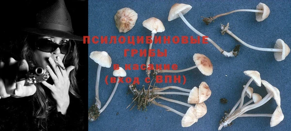 стафф Козельск