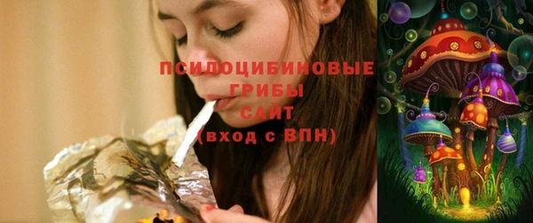 индика Корсаков